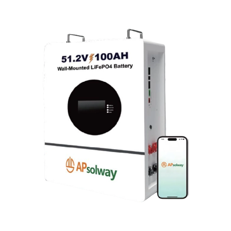 51.2V 100Ah BMS Protection Wall-Mounted LiFePo4 Battery