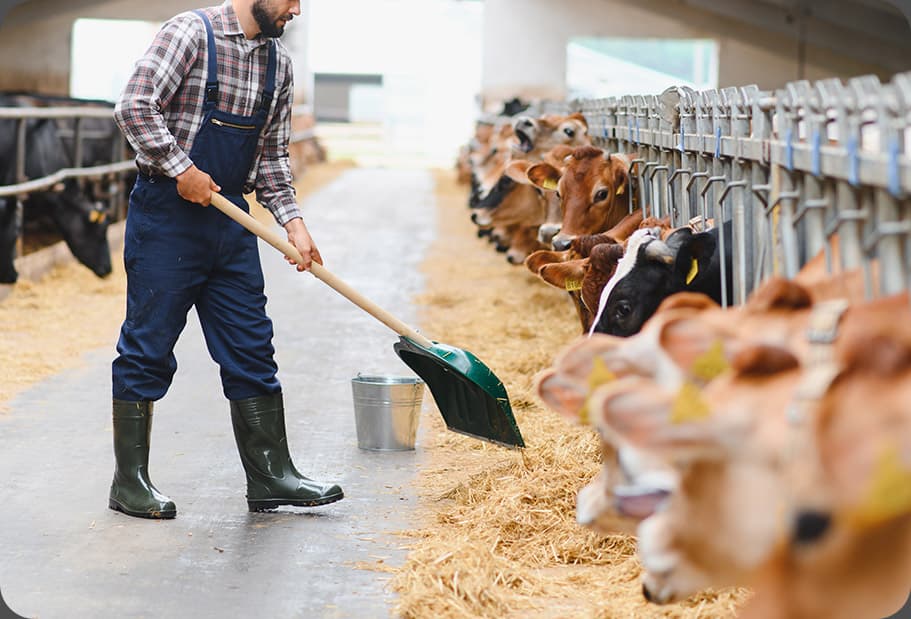 Agriculture and Livestock Production